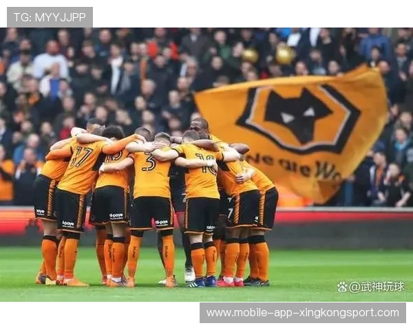 本赛季切尔西与狼队较量中球员状态变化及战术博弈深度解析全景式 本赛季切尔西与狼队较量中球员状态变化及战术博弈深度解析全景式