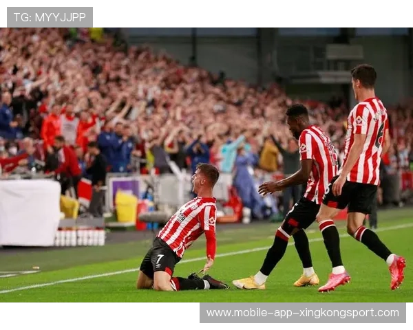 布伦特福德对阵纽卡斯尔联:两队实力对比与球员状态分析 布伦特福德对阵纽卡斯尔联:两队实力对比与球员状态分析