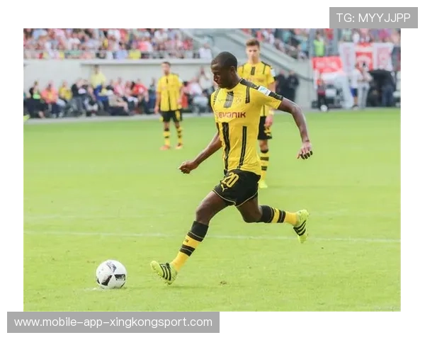 俱乐部启动球迷忠诚积分体系提升用户粘性，德甲球迷忠诚度测试